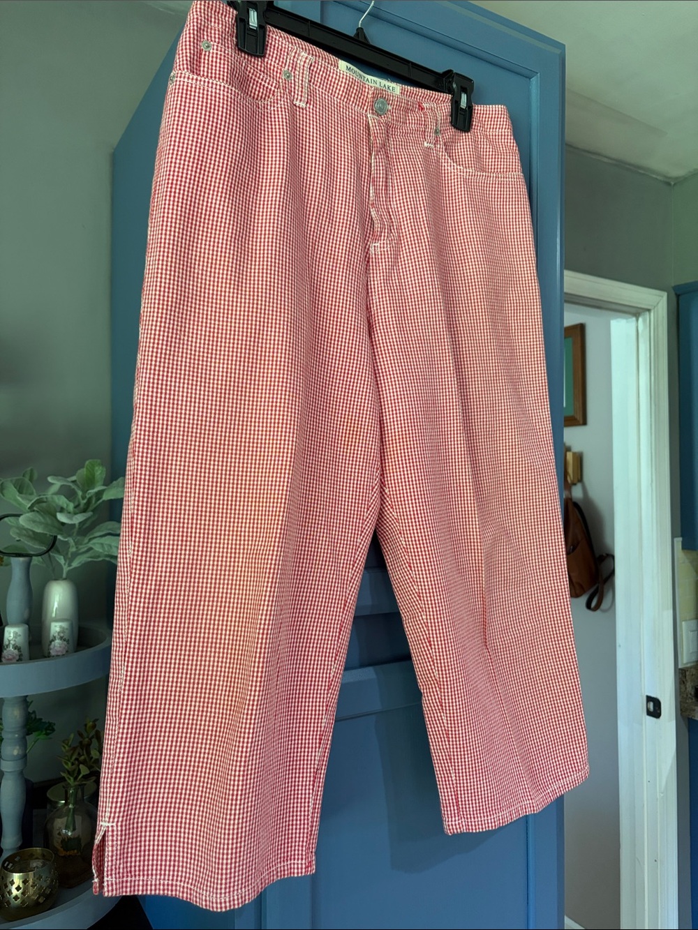 Mountain Lake Red and White Gingham Petite Jeans